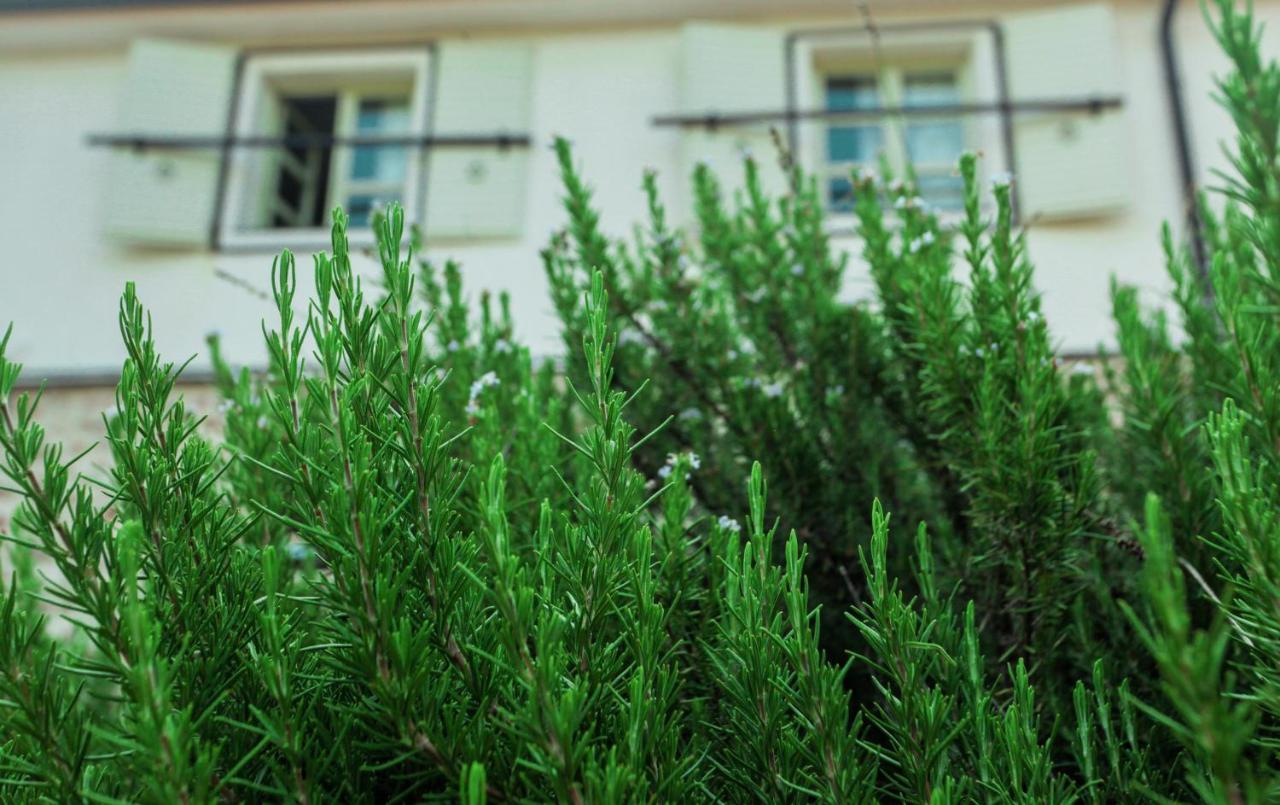 Dembelija Rooms Virpazar Exterior photo